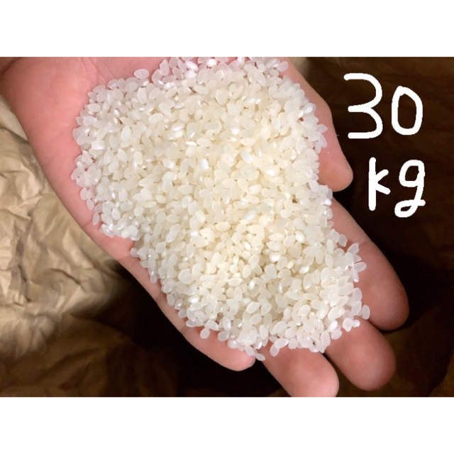 R5年 岡山県産コシヒカリ　玄米　30キロ 食品/飲料/酒の食品(米/穀物)の商品写真