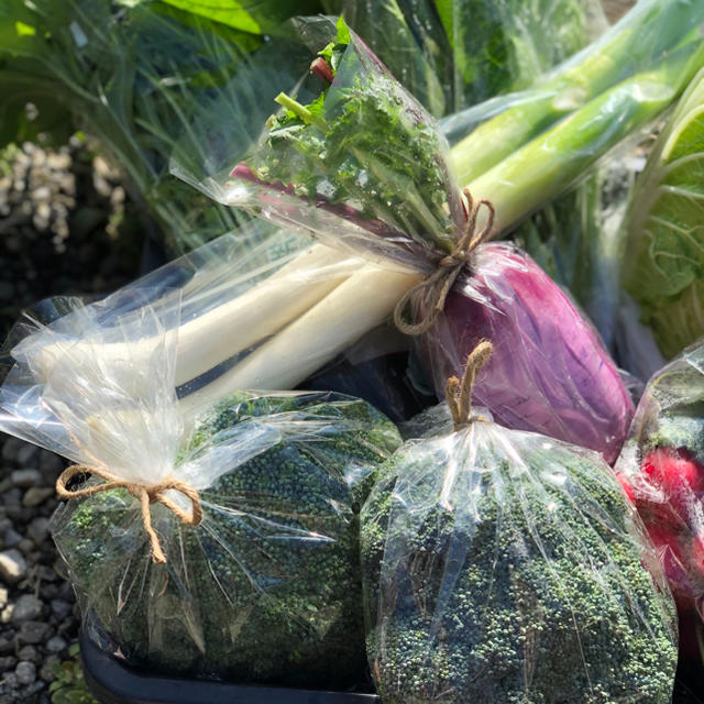 鹿児島で育った有機野菜詰め合わせ　100サイズ 食品/飲料/酒の食品(野菜)の商品写真