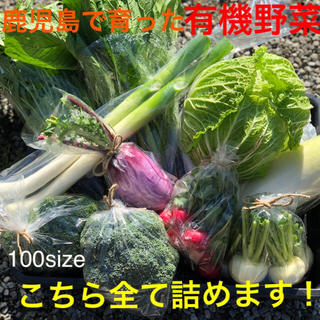 鹿児島で育った有機野菜詰め合わせ　100サイズ(野菜)