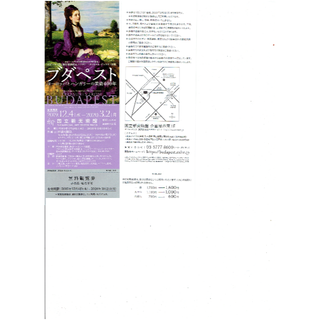 2枚　ブダペスト　国立新美術館　招待券　入場券　入館券　ヨーロッパとハンガリーの(美術館/博物館)