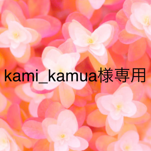 kami_kamua様専用 【希少！！】 4050円引き www.senge-vr.org.br