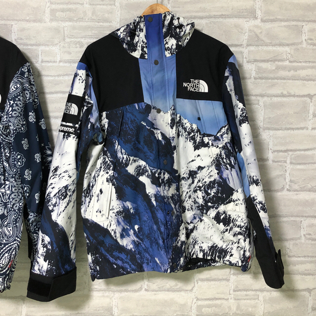 Supreme The North Face Mountain Parka L