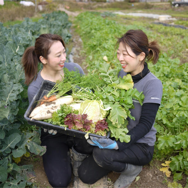 新鮮とれたて京野菜をお届け！！無農薬野菜 減農薬野菜 食品/飲料/酒の食品(野菜)の商品写真