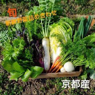 新鮮とれたて京野菜をお届け！！無農薬野菜 減農薬野菜(野菜)