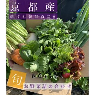 新鮮野菜詰め合わせ！！京都無農薬 減農薬 とれたてをお届け！(野菜)