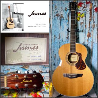 ジェームス(James)のハルピニア様専用‼️他の方の購入は出来ません。(アコースティックギター)