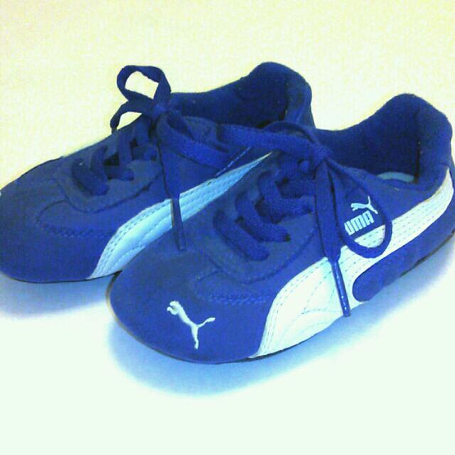 PUMA(プーマ)の込♡pumaドライビングシューズ15㌢青 キッズ/ベビー/マタニティのキッズ靴/シューズ(15cm~)(その他)の商品写真