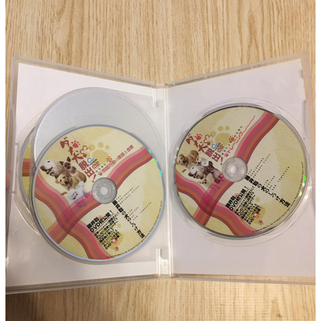 Yukiyuki様専用⭐︎ダメ犬脱出! 藤井聡の犬のしつけ方法 DVD | imt.gov.zw