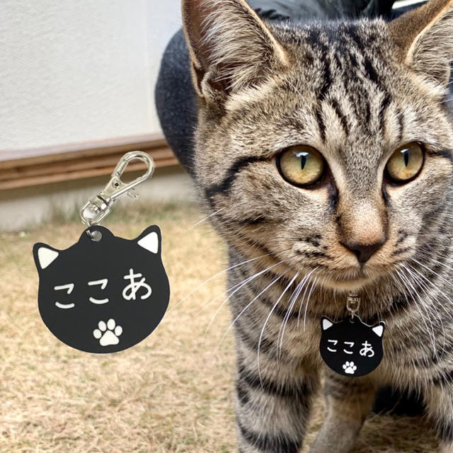 【名入れ彫刻】愛犬・愛猫用 ネームタグ プレート 猫型Ver. その他のペット用品(猫)の商品写真