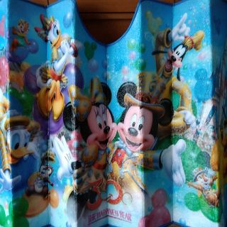 ディズニー(Disney)のディズニー30thグッズ　日よけ(その他)