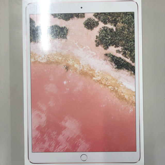 ipad pro 10.5インチ Wi-Fi 512GB