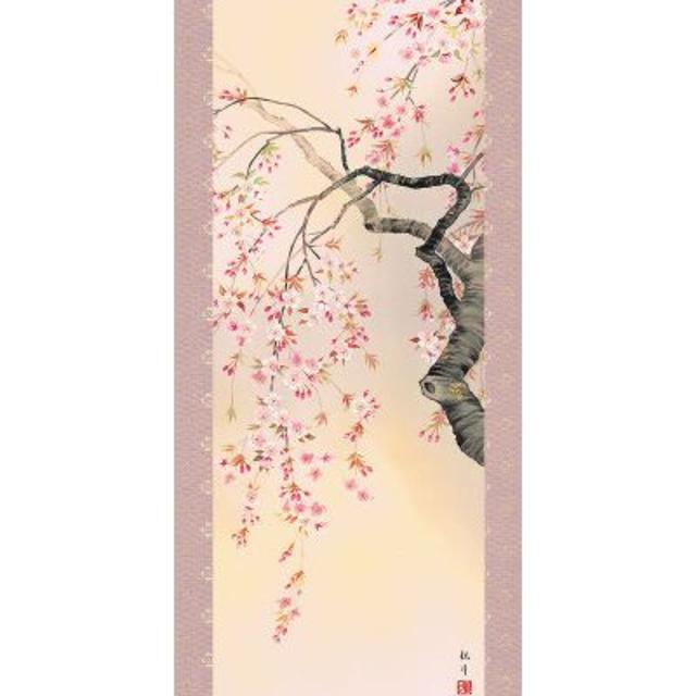 森山観月　桜 花爛漫　桜　掛け軸　掛軸　新品送料無料