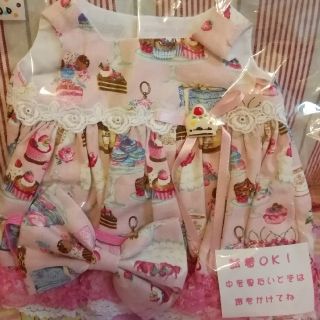 専用（付属品）(その他)