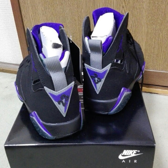 NIKE(ナイキ)のNIKE air jordan 7 ray alen. メンズの靴/シューズ(スニーカー)の商品写真