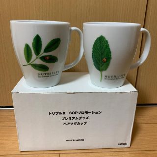 アムウェイ(Amway)のアムウェイ　マグカップ　非売品(グラス/カップ)