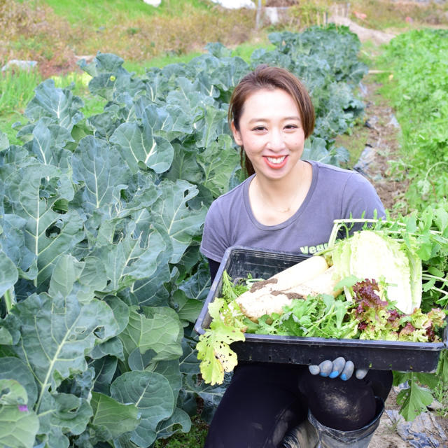 新鮮野菜を最短でお届け！！京都露地栽培  京野菜！！ 食品/飲料/酒の食品(野菜)の商品写真