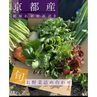 新鮮野菜を最短でお届け！！京都露地栽培  京野菜！！(野菜)