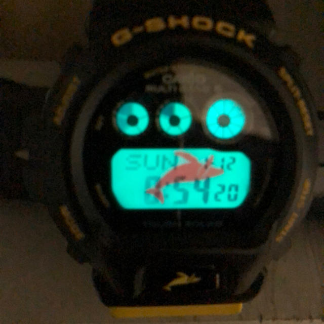 G-SHOCK GW-6902K-9JR イルクジ イルカクジラ 2018年-