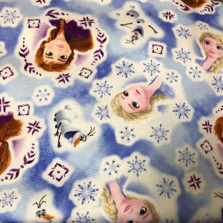 もこまめ様専用　アナ雪レッスンバッグ (バッグ/レッスンバッグ)