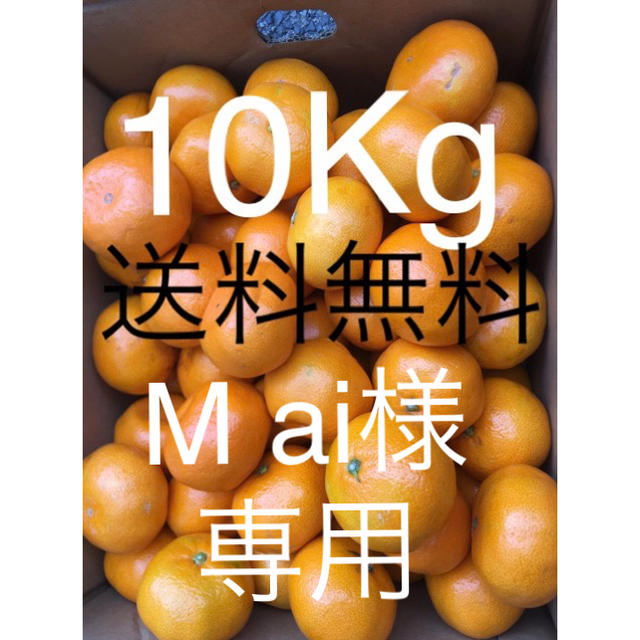 東北送料 食品/飲料/酒の食品(フルーツ)の商品写真