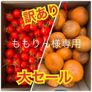 ももりん様専用訳あり❗️幻の河内みかん 1.5kg  キャロルセブン1kg(フルーツ)