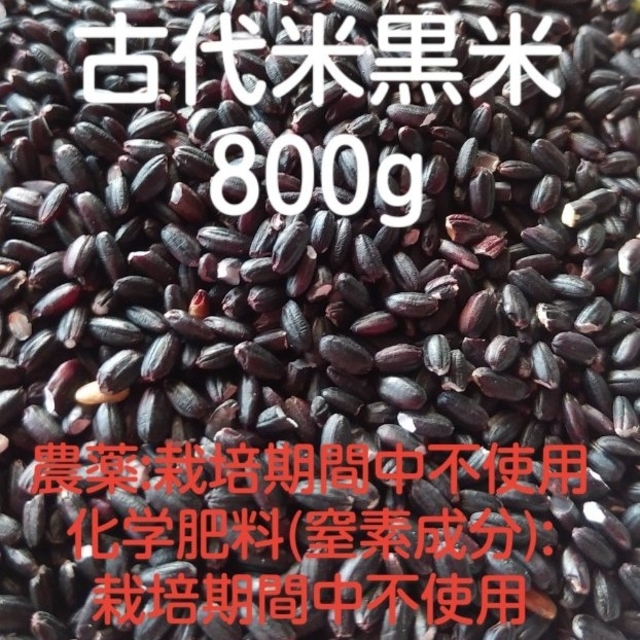 訳あり☆古代米黒米　800㌘ 食品/飲料/酒の食品(米/穀物)の商品写真
