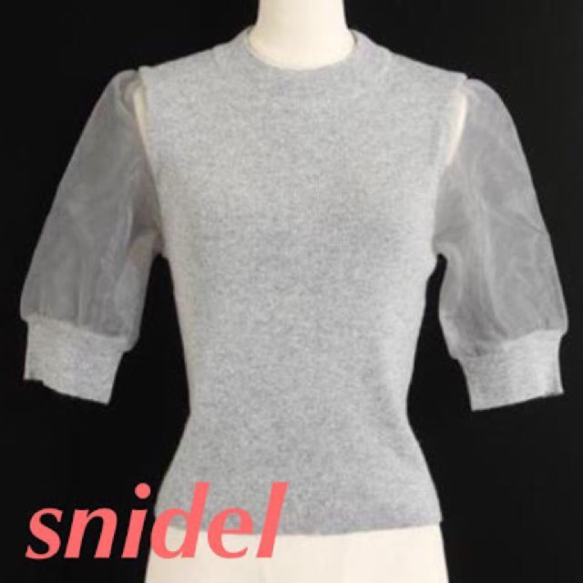 SNIDEL(スナイデル)の1月までお休みちします！スナイデルシースルートップス レディースのトップス(Tシャツ(半袖/袖なし))の商品写真