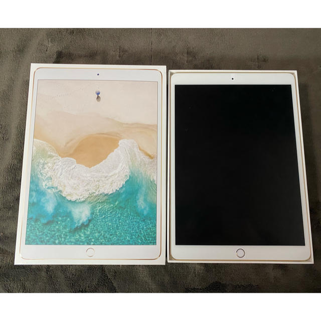 ショッピング人気 iPad Pro10.5 256GB ジャンク | www.cc-eventos.com.mx