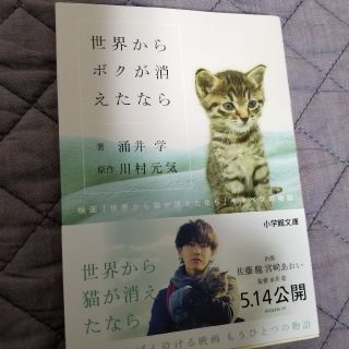 世界からボクが消えたなら 映画「世界から猫が消えたなら」キャベツの物語(文学/小説)