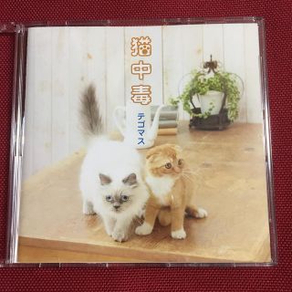 テゴマス(テゴマス)の猫中毒 テゴマス(ポップス/ロック(邦楽))