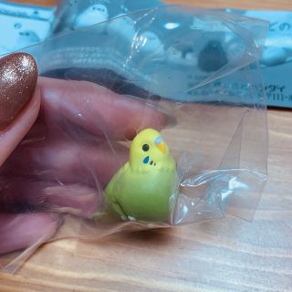 バンダイ(BANDAI)のこーどの鳥さん　インコさん(みどり)(その他)