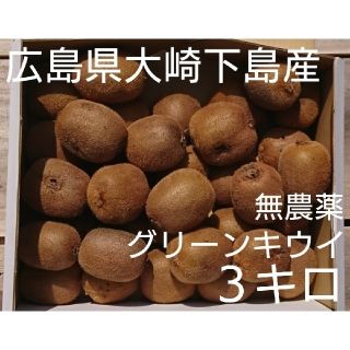 訳あり！無農薬グリーンキウイ 3キロ(フルーツ)