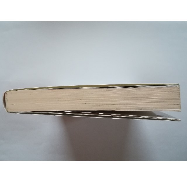 ＰＳＹＣＨＯ－ＰＡＳＳ　ＡＳＹＬＵＭ ２ エンタメ/ホビーの本(文学/小説)の商品写真