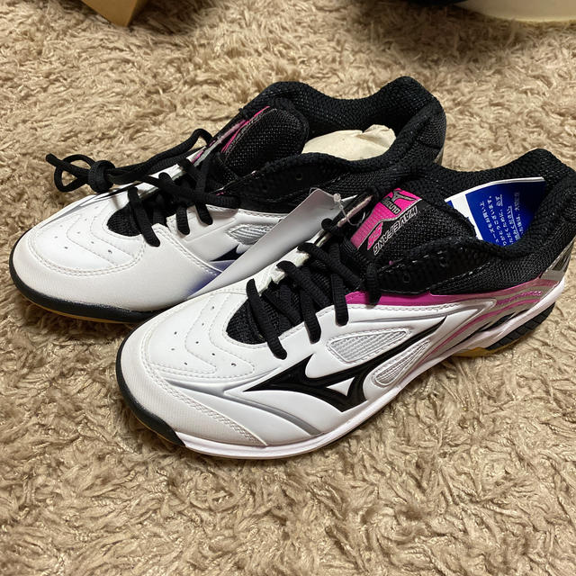 MIZUNO(ミズノ)のバドミントンシューズ スポーツ/アウトドアのスポーツ/アウトドア その他(バドミントン)の商品写真