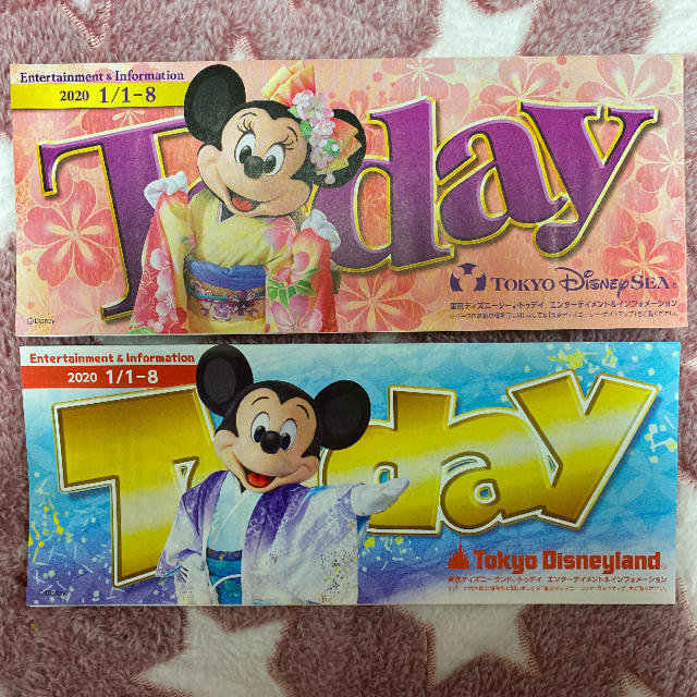Disney(ディズニー)のディズニー　Today  ランドとシー　2枚 エンタメ/ホビーのコレクション(印刷物)の商品写真
