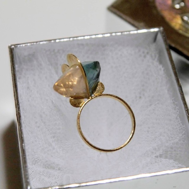imago ring リング 独特な 【送料無料】 www.skytrac.ca