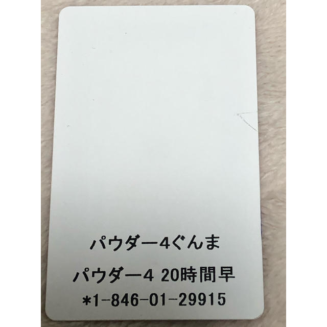 パウダー4ぐんま　20時間　リフト券 チケットの施設利用券(スキー場)の商品写真