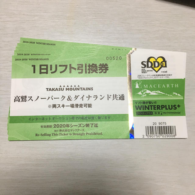 高鷲スノーパーク&ダイナランド共通リフト券6枚施設利用券