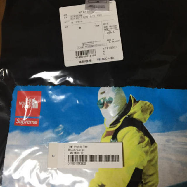 supreme north face expedition tee  Large