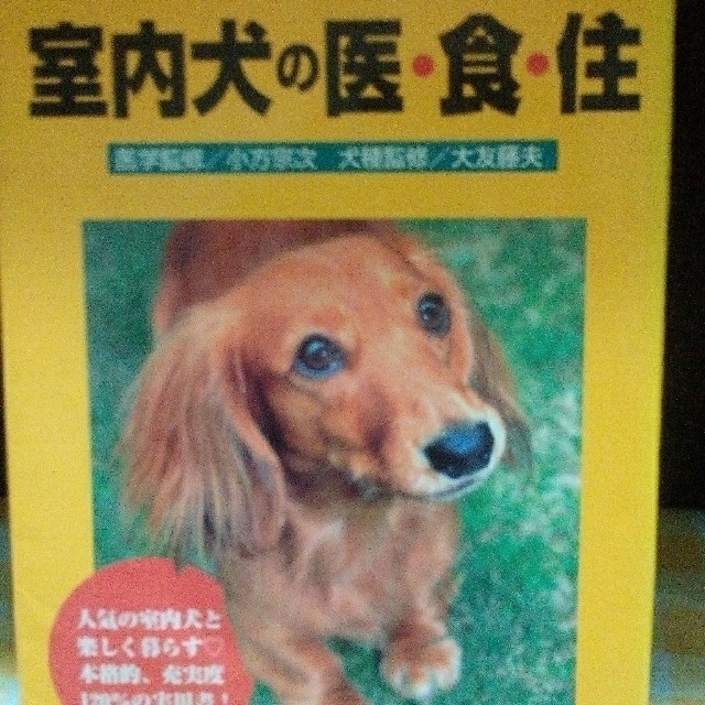 室内犬の衣食住 その他のペット用品(犬)の商品写真