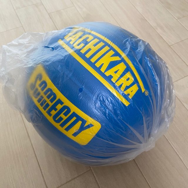 【新品】TACHIKARA SOMECITY Official Ball