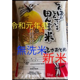 新米　ふさおとめ　無洗米　20kg はるまま様専用(米/穀物)