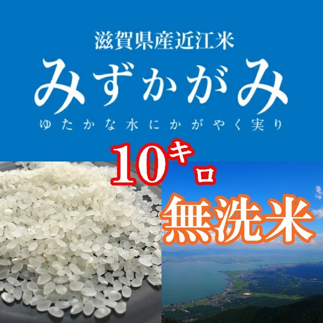 【無洗米】近江米みずかがみ10kgを精米 食品/飲料/酒の食品(米/穀物)の商品写真