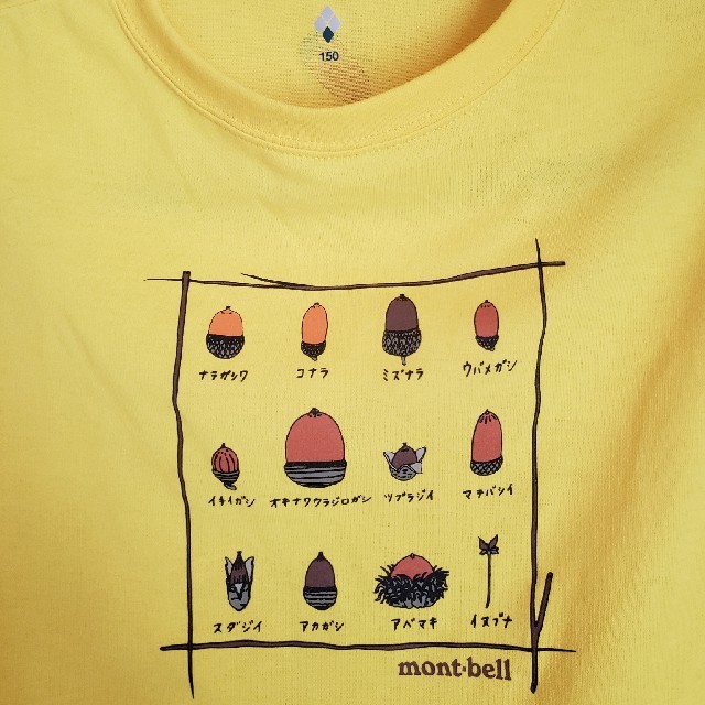 mont bell(モンベル)のモンベル キッズTシャツ キッズ/ベビー/マタニティのキッズ服男の子用(90cm~)(Tシャツ/カットソー)の商品写真