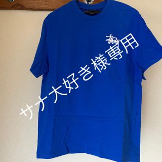 ステューシー(STUSSY)のTシャツ(Tシャツ/カットソー(半袖/袖なし))