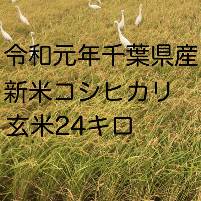 コシヒカリ玄米24キロ食品