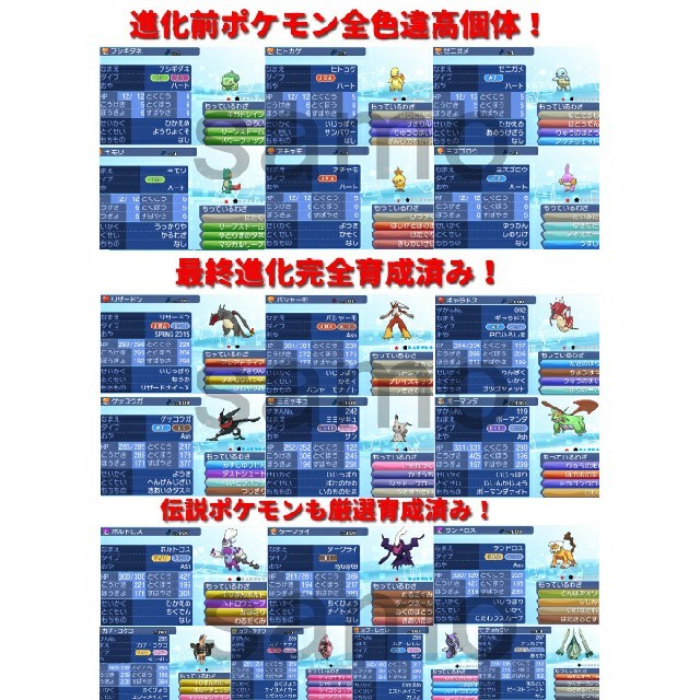 3ds ポケットモンスター　ウルトラ　サンムーン 2