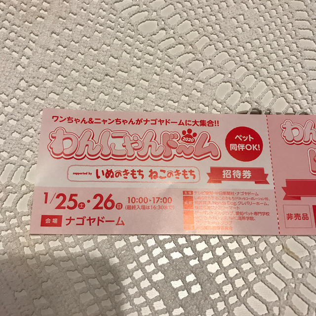 わんにゃんドーム無料招待券! チケットの優待券/割引券(その他)の商品写真