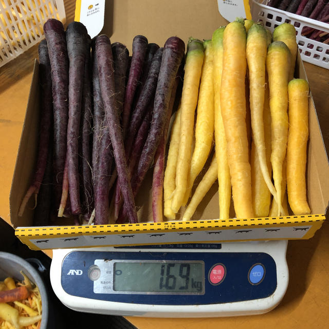 彩りフルーツにんじん訳ありB品4色4kg無農薬野菜 食品/飲料/酒の食品(野菜)の商品写真