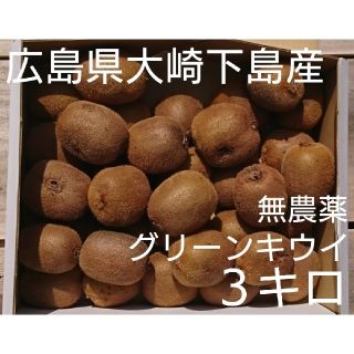 訳あり！広島県大崎下島産 無農薬グリーンキウイ3キロ(フルーツ)